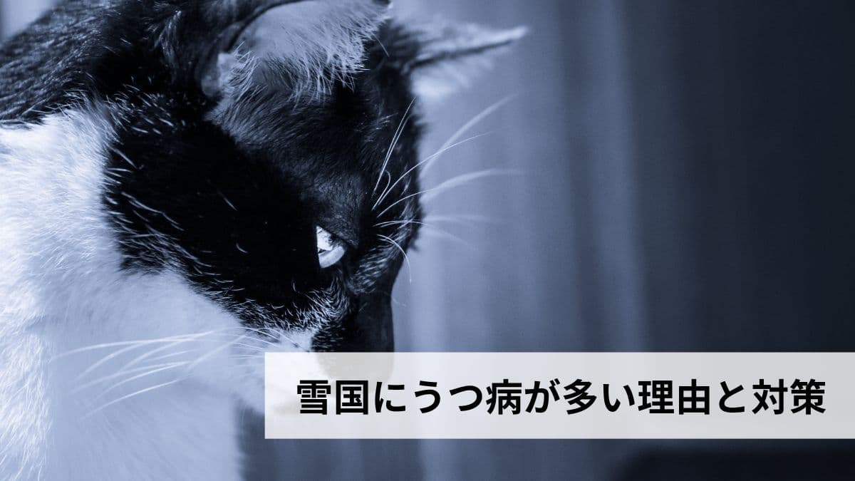 雪国にうつ病が多い理由と対策