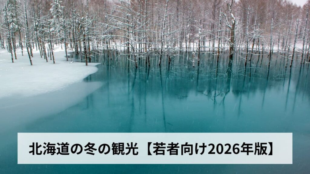 北海道冬観光【若者向け2026年版】20代・30代が本当に楽しめるスポット