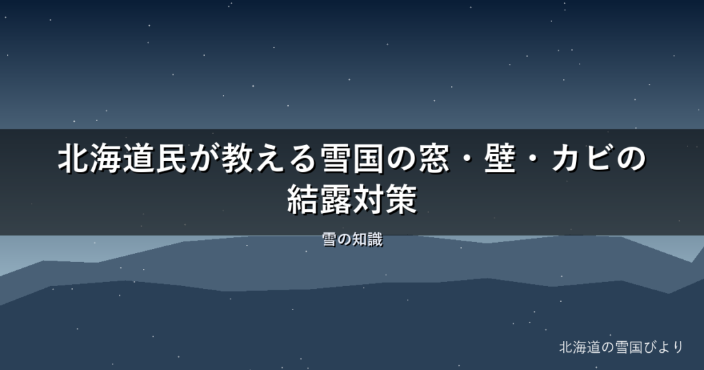 【2026年版】北海道民が教える雪国の窓・壁・カビの結露対策