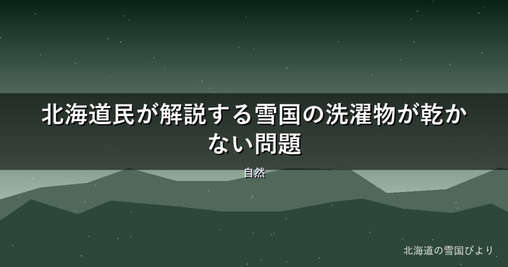 【2026年版】北海道民が解説する雪国の洗濯物が乾かない問題【サンルーム】