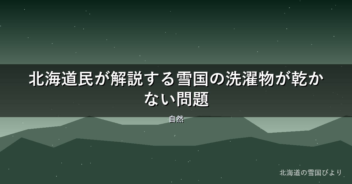 【2026年版】北海道民が解説する雪国の洗濯物が乾かない問題【サンルーム】