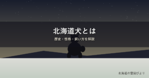 北海道犬のイメージ画像