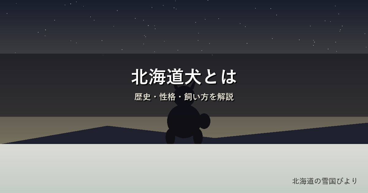 北海道犬のイメージ画像