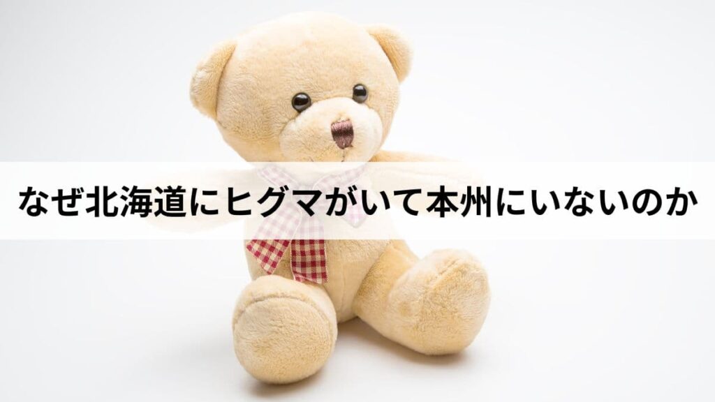 なぜ北海道にヒグマがいて本州にいないのか？ブラキストン線と津軽海峡の謎
