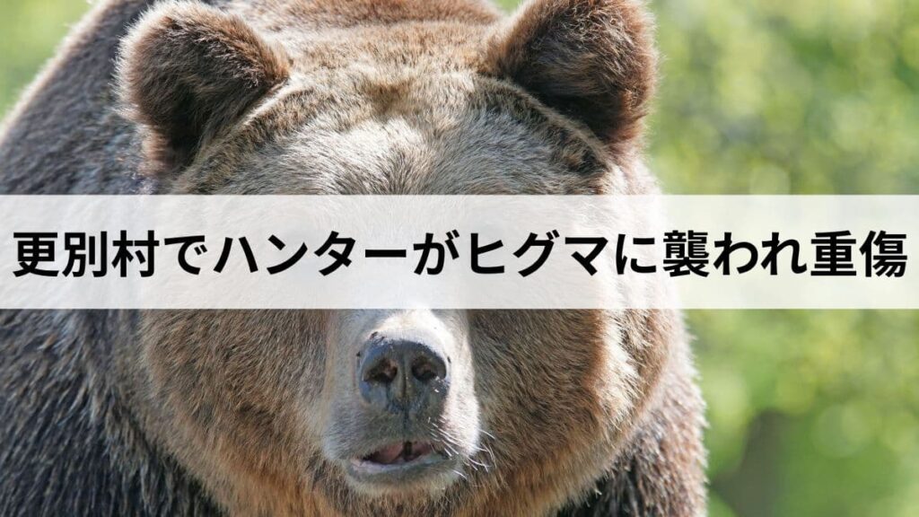 【目潰し】更別村でハンターがヒグマに襲われ重傷。事件の経緯と道民が知るべき対策