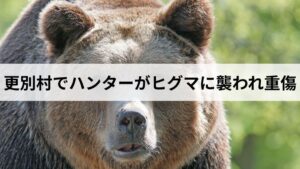【目潰し】更別村でハンターがヒグマに襲われ重傷。事件の経緯と道民が知るべき対策
